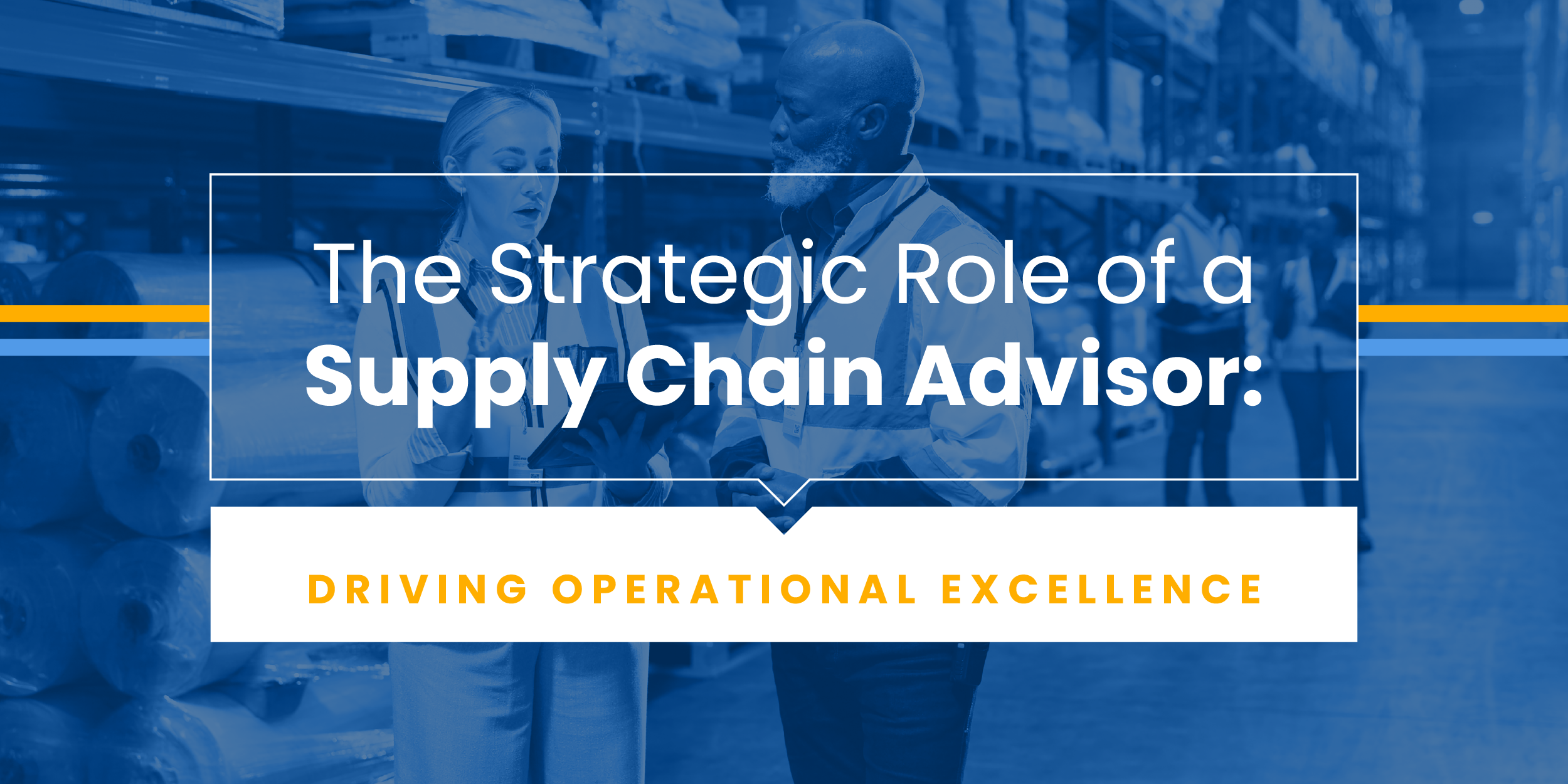 The Strategic Role of a Supply Chain Advisor